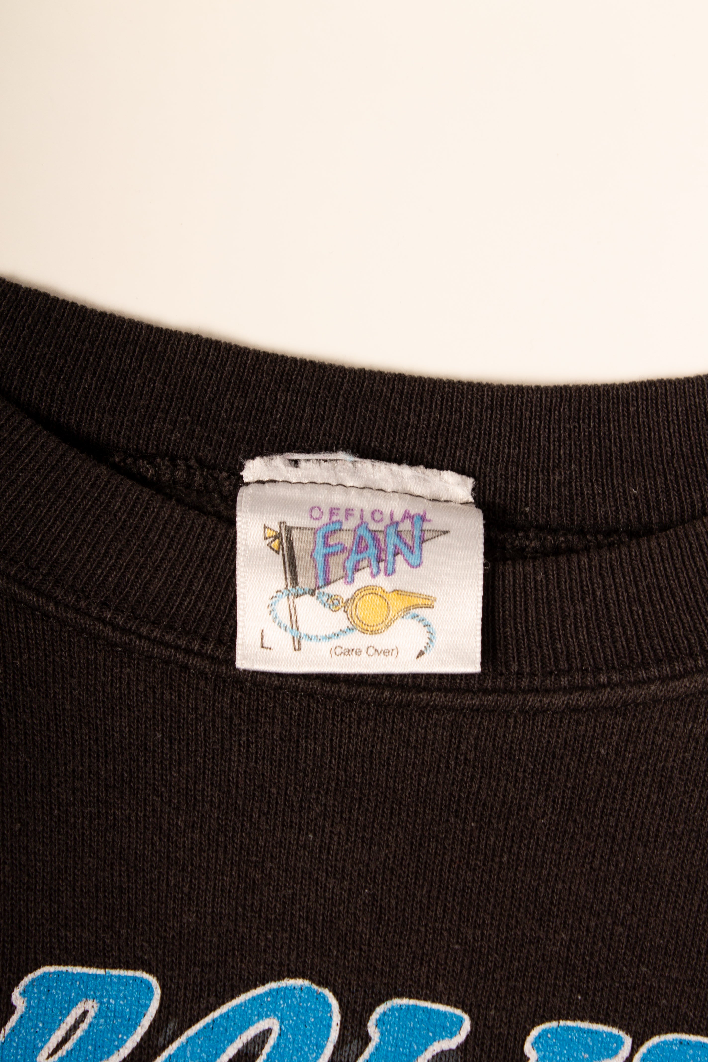 Carolina Panthers '93 Crewneck