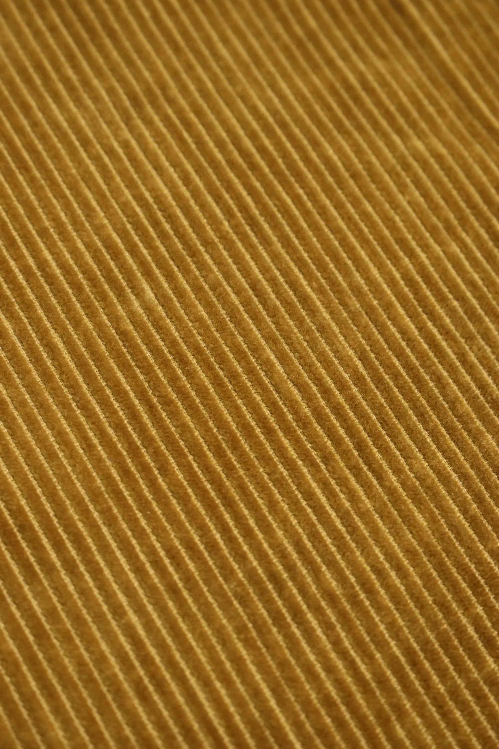 Fiorucci Corduroy Pants (w)