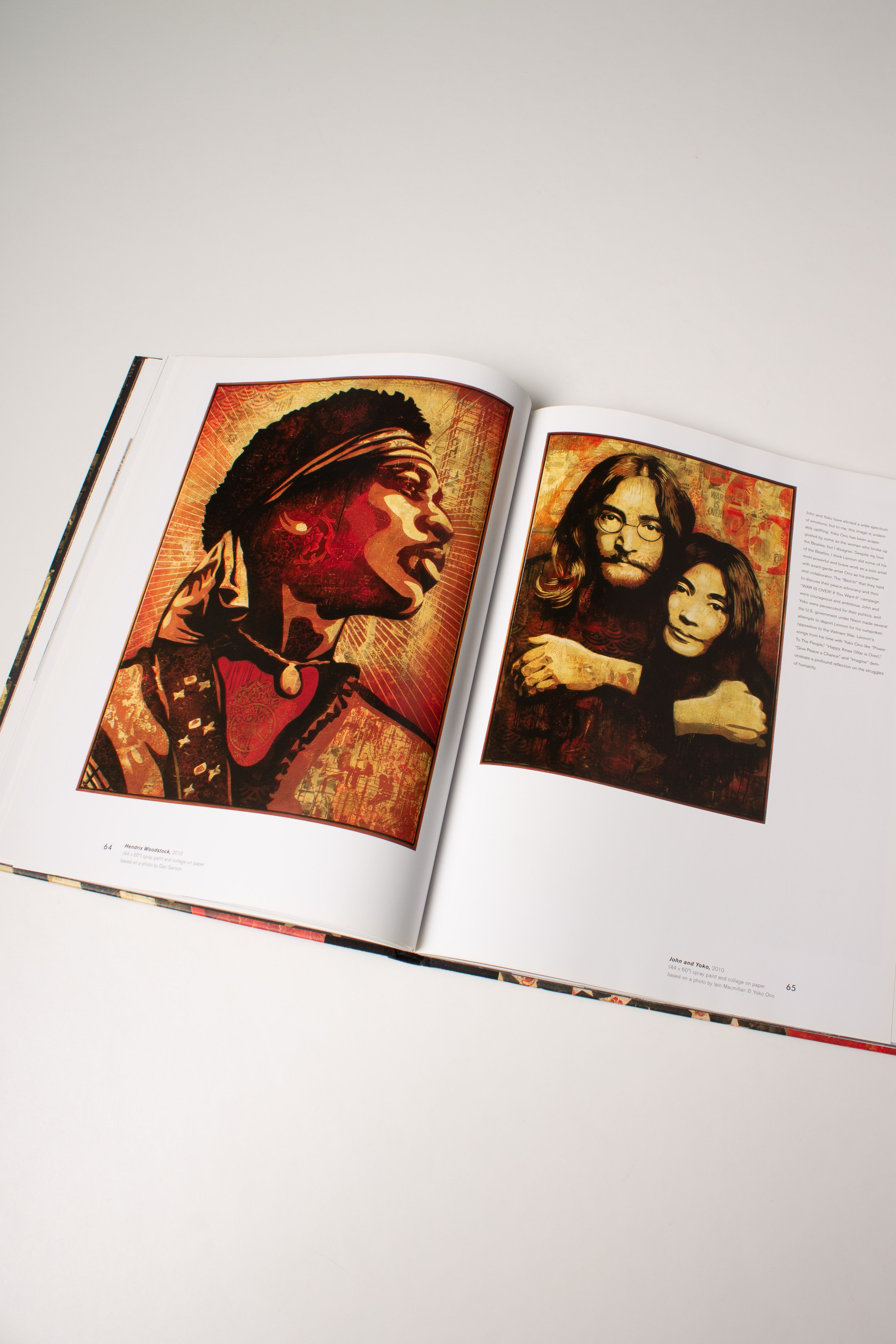 Mayday - The Art of Shepard Fairey