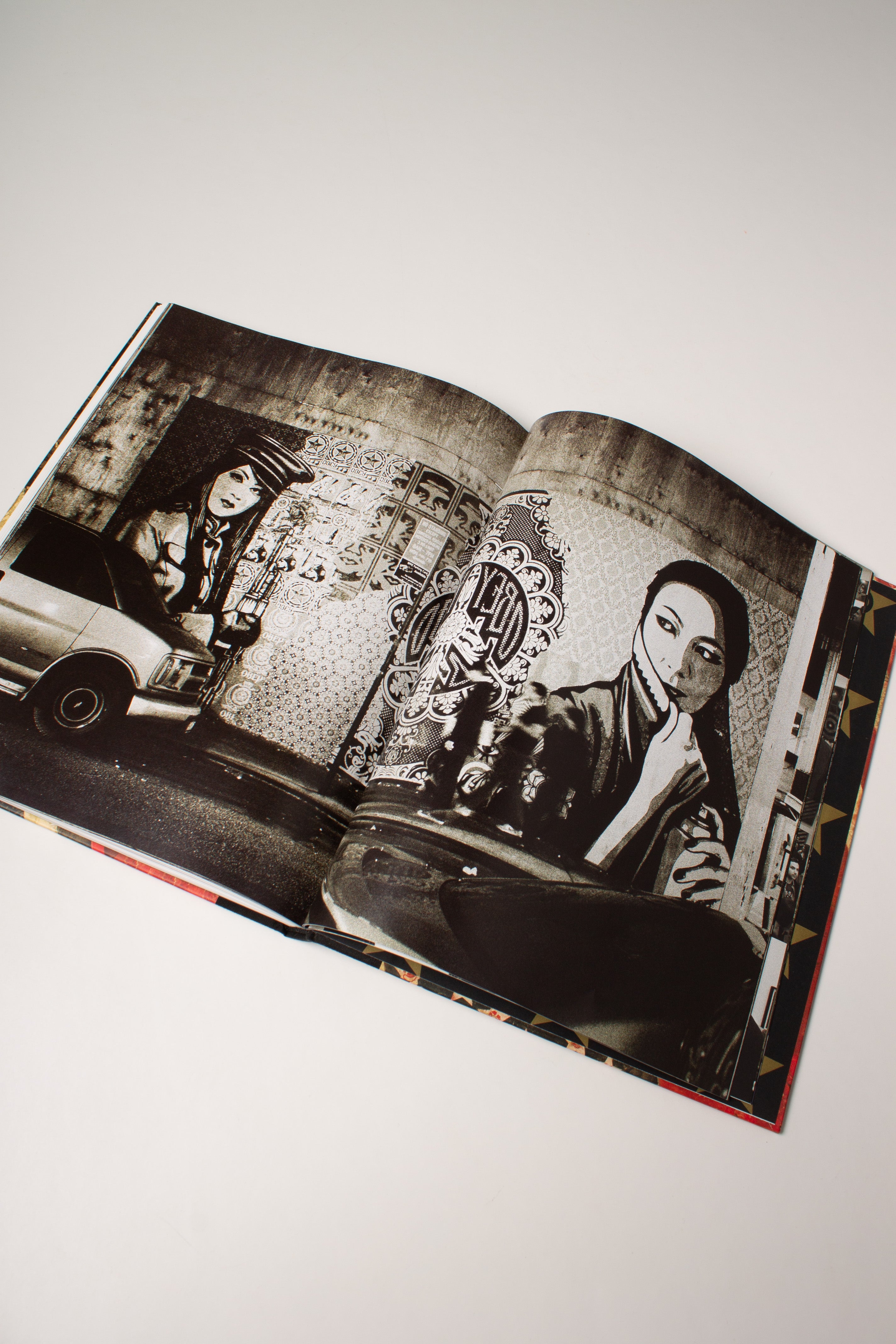 Mayday - The Art of Shepard Fairey