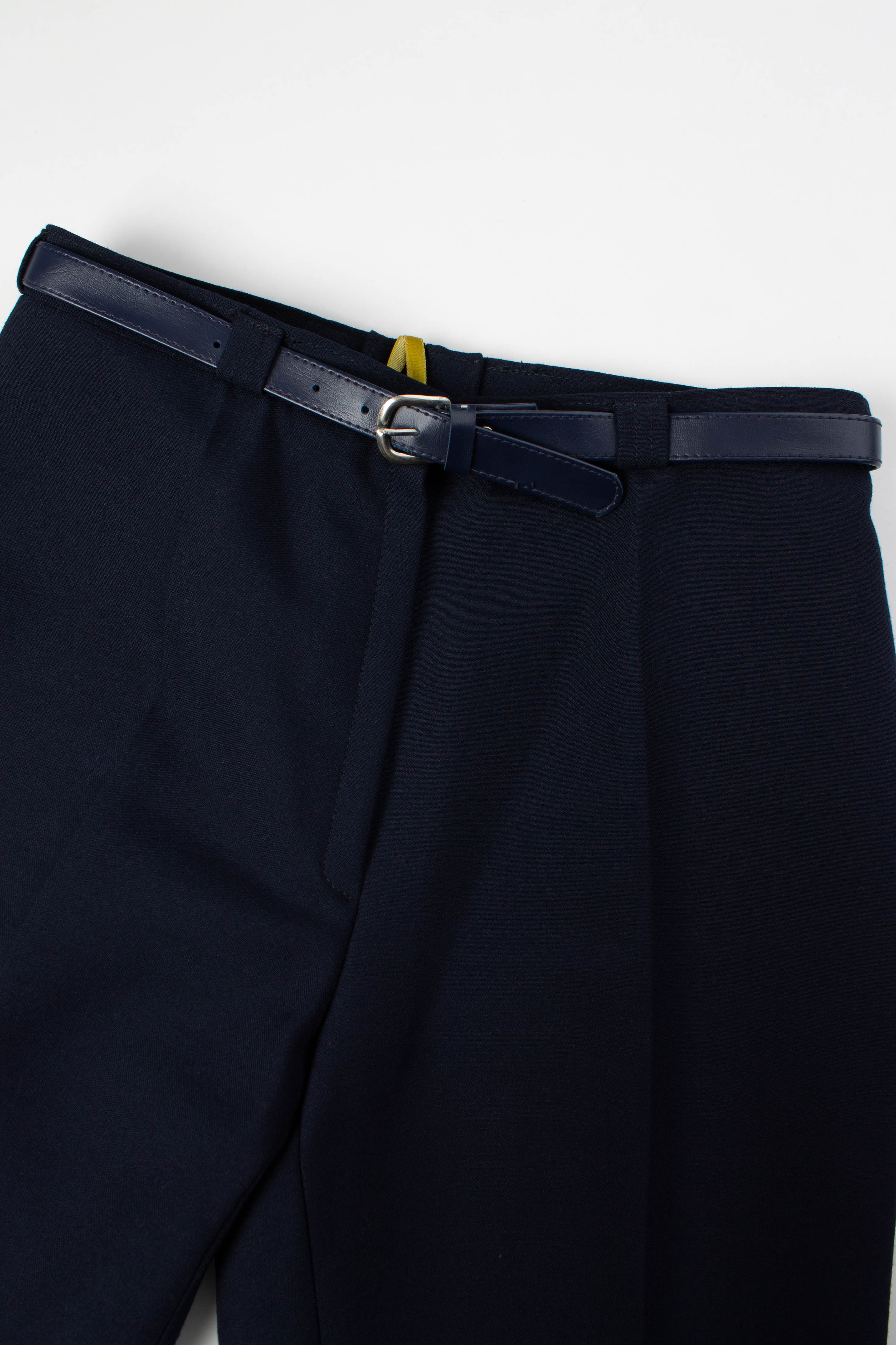 Tailored Pleated Pants (w)
