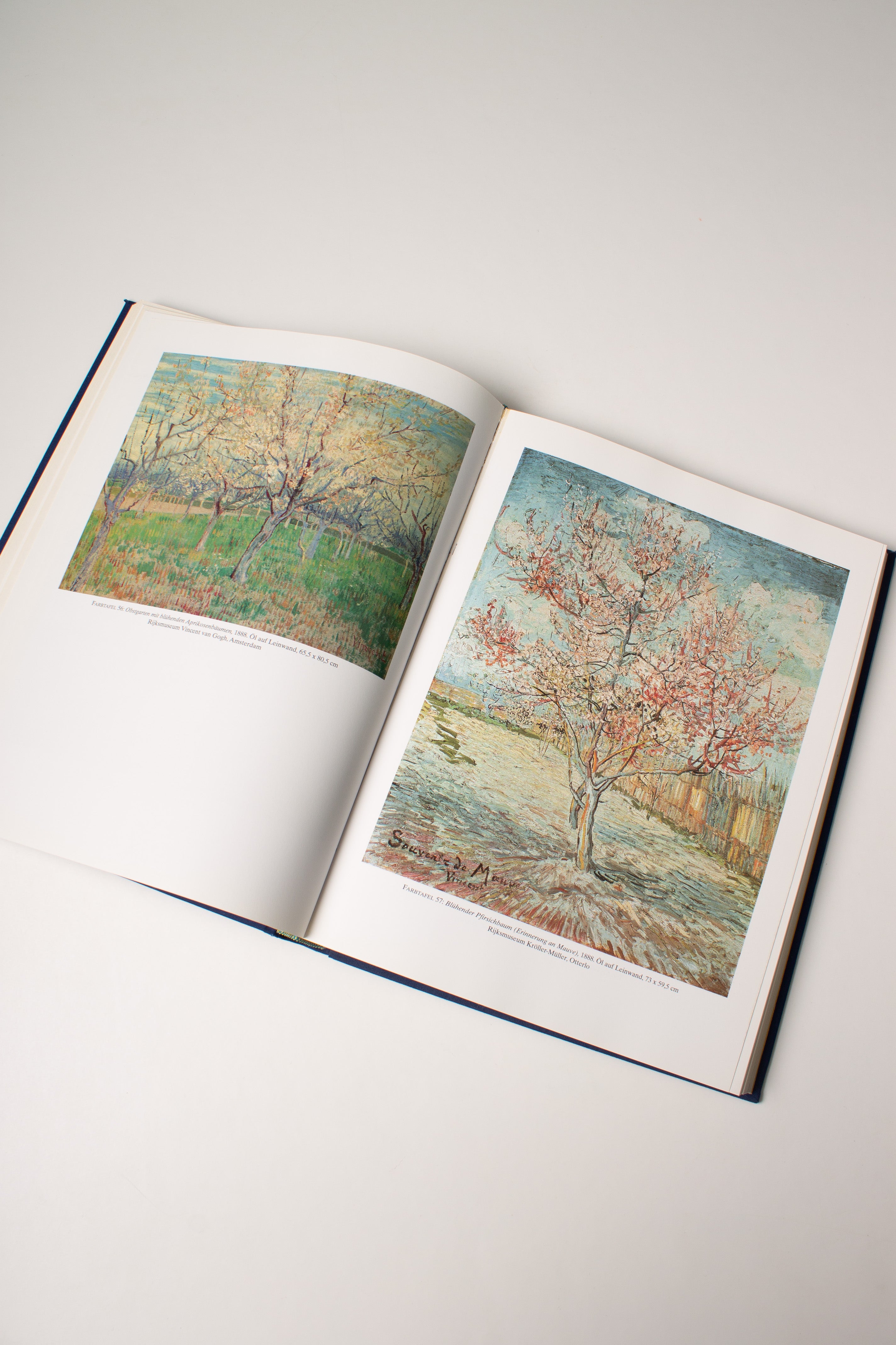 Van Gogh 1853 - 1890