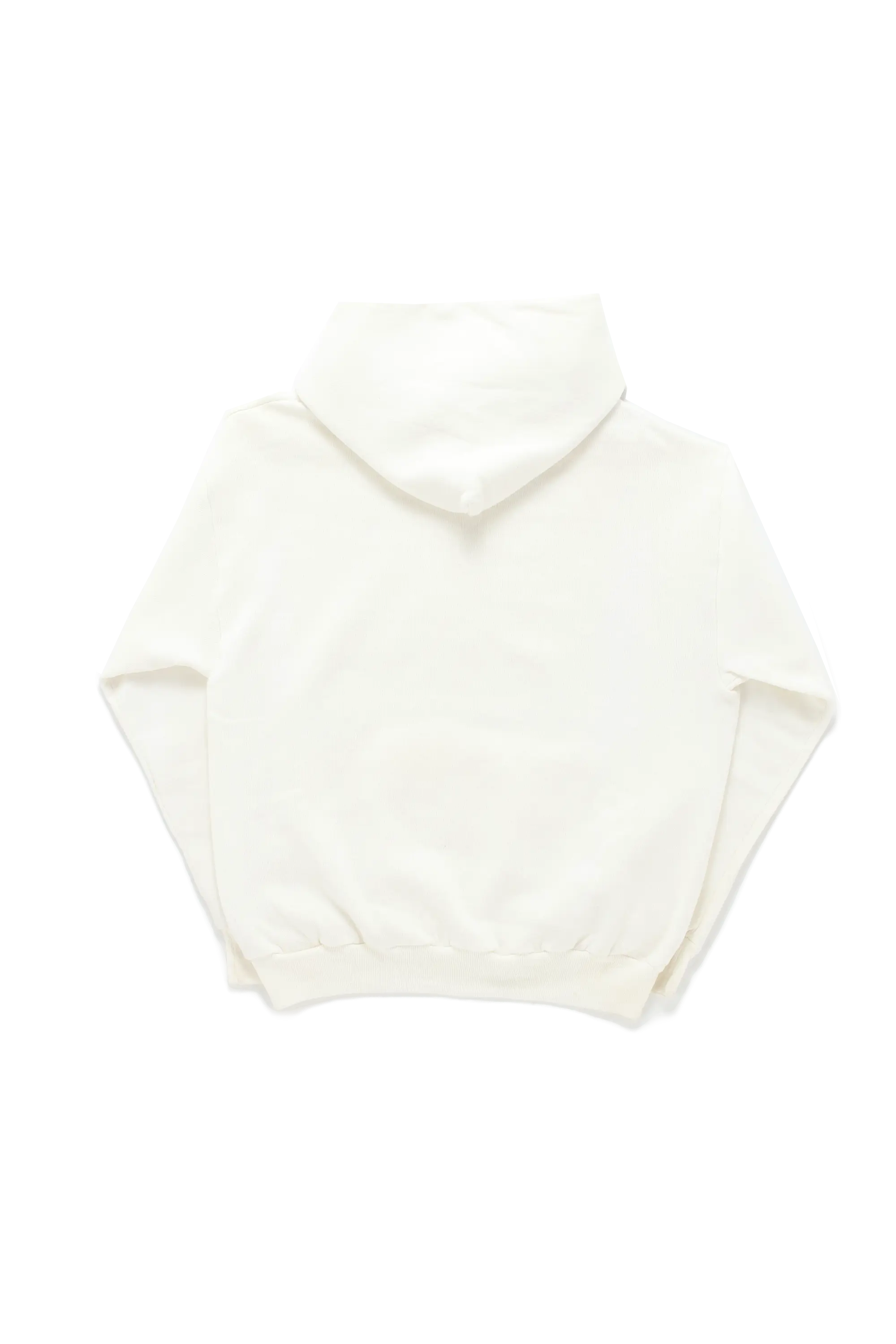 Levis Olympic Hoodie