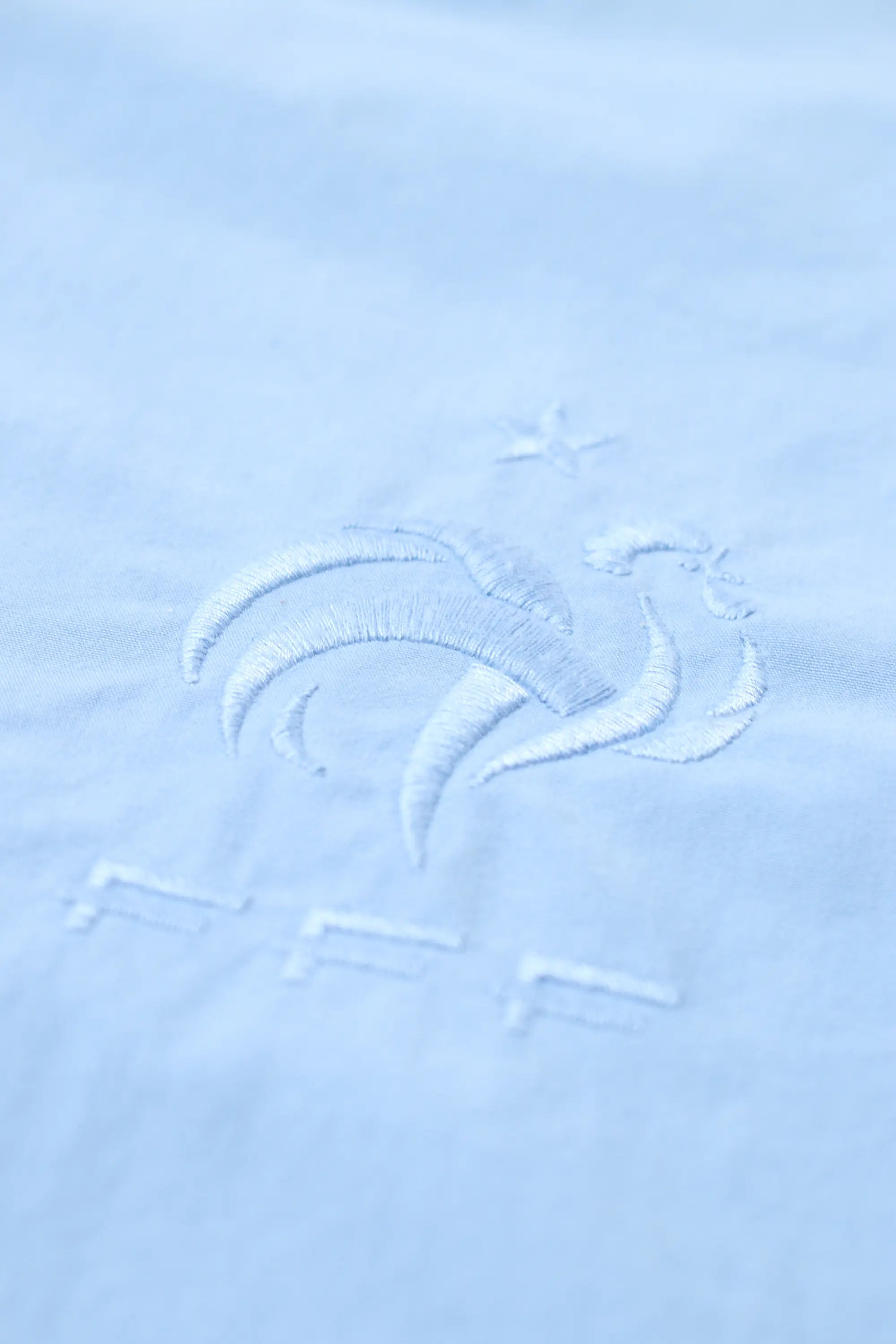 Nike France Reversible Jacket