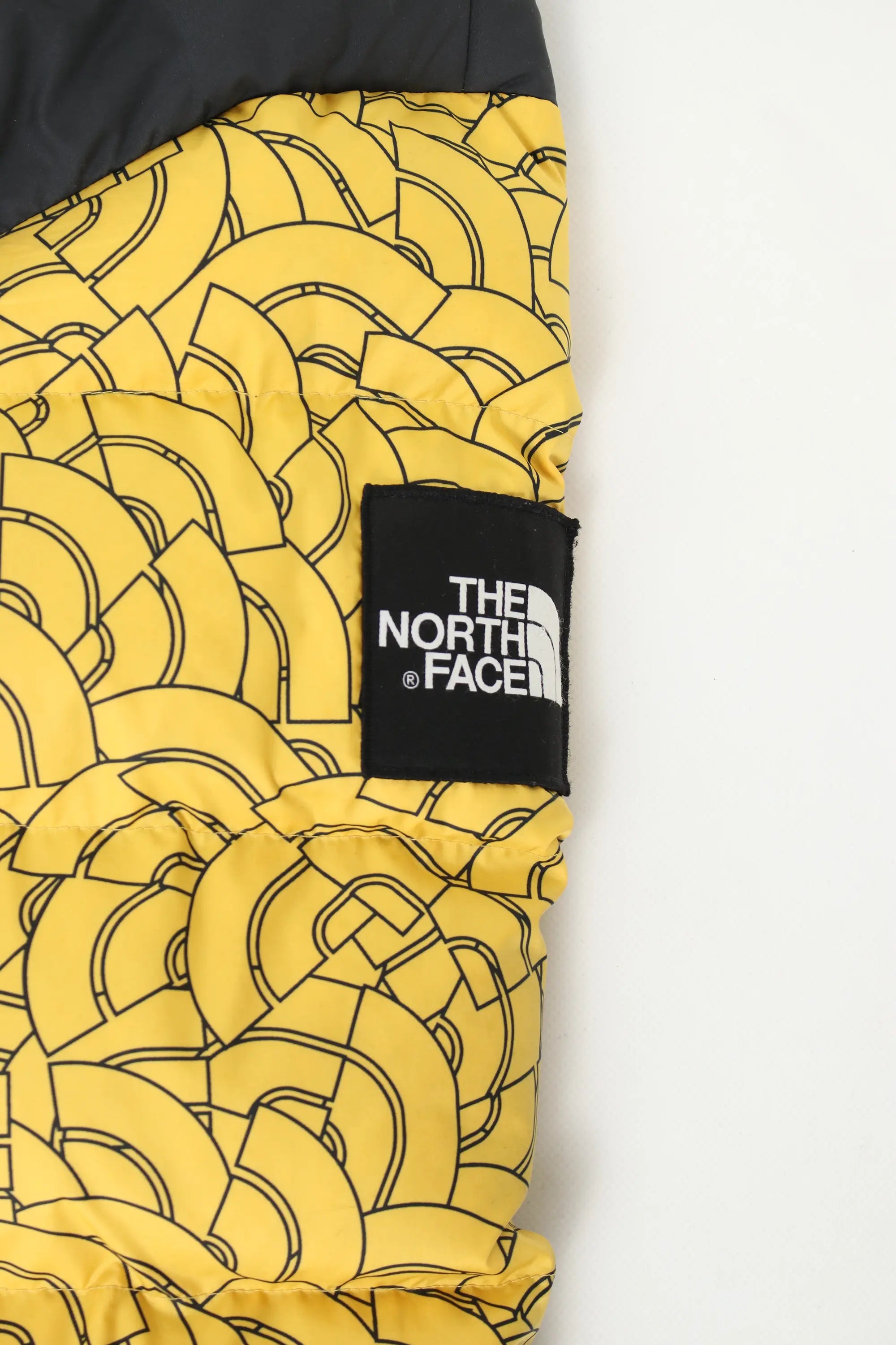 North Face 700 Nuptse Puffer